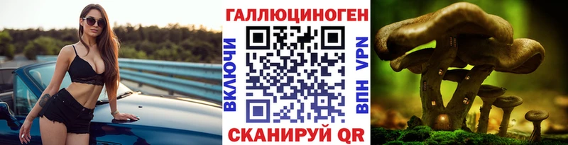 купить   Нестеровская  Псилоцибиновые грибы GOLDEN TEACHER 